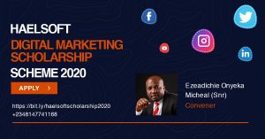 Haelsoft Digital Marketing Scholarship 2020