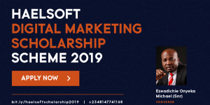 Haelsoft-Digital-Marketing-Scholarship