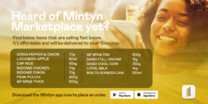OVERVIEW OF MINTYN ONLINE MARKETPLACE